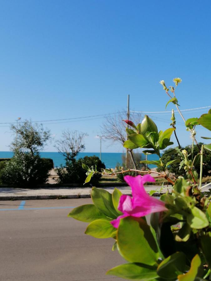 B&B Mareen Santa Maria al Bagno Ngoại thất bức ảnh